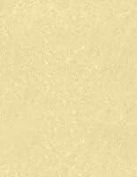 Algopix Similar Product 4 - LUXPaper 85 x 11 Paper  Letter Size