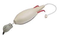 Algopix Similar Product 4 - Dokken Mourning Dove Dead Fowl