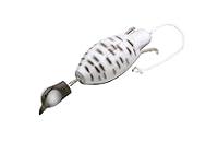 Algopix Similar Product 15 - Dokken Bobwhite Quail Dead Fowl