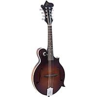 Algopix Similar Product 3 - The Loar LM310FBRB Honey Creek