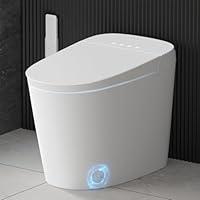 Algopix Similar Product 13 - EPLO Smart Toilet Bidet with Tank Built