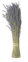 Algopix Similar Product 10 - Findlavender  Lavender Dried Premium