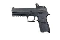 Algopix Similar Product 3 - TALON Grips for SIG SAUER P250P320M17