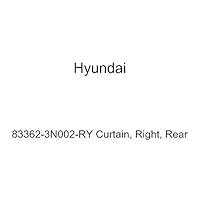Algopix Similar Product 3 - HYUNDAI Genuine 833623N002RY Curtain