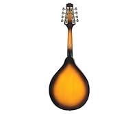 Algopix Similar Product 7 - Rogue RM-100A A-Style Mandolin Sunburst