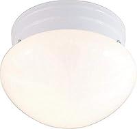 Algopix Similar Product 15 - NUVO SF77060 One Light Mushroom Flush