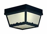 Algopix Similar Product 3 - Thomas Lighting SL7577 Outdoor