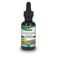 Algopix Similar Product 3 - Natures Answer Codonopsis Root Organic