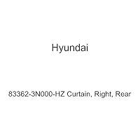Algopix Similar Product 13 - HYUNDAI Genuine 833623N000HZ Curtain