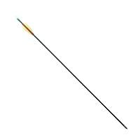 Algopix Similar Product 6 - SA Sports 28 Inch Youth Archery Arrows