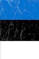 Algopix Similar Product 19 - Estonia Flag Journal Blank lined