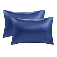 Algopix Similar Product 2 - Madison Park Essentials Set of 2 Satin