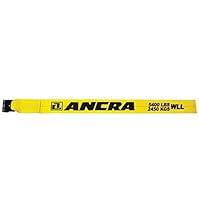 Algopix Similar Product 17 - Ancra 437951050 Winch Strap with Flat