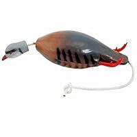 Algopix Similar Product 13 - Dokken Dead Fowl Chukar Partridge