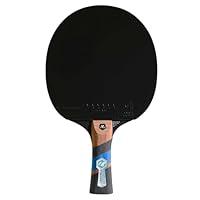 Algopix Similar Product 9 - Cornilleau Excell 1000 Table Tennis