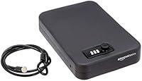Algopix Similar Product 5 - Amazon Basics Portable Security Case