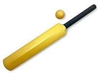 Algopix Similar Product 17 - Gray Nicolls Kwik Cricket Coaching Bat