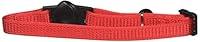Algopix Similar Product 6 - Petmate Adjustable Breakaway Cat