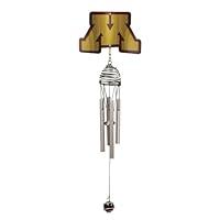 Algopix Similar Product 2 - Iron Stop University of Minnesota