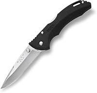 Algopix Similar Product 14 - Buck Knives 285 Bantam BLW Folding