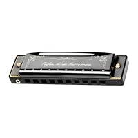 Algopix Similar Product 7 - Deevoka Kids Harmonica Blues Mouth