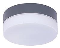 Algopix Similar Product 13 - Lucci Air 210252010 Climate Ceiling Fan