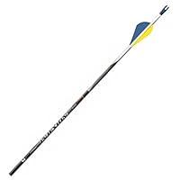 Algopix Similar Product 18 - Easton Carbon Injexion Micro OD Arrows