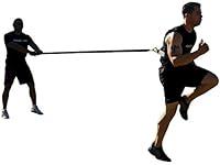 Algopix Similar Product 8 - Shell throw LCC WIAIM Sled Harness