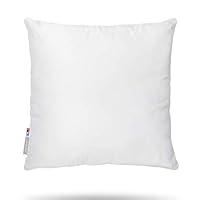 Algopix Similar Product 18 - Premium 22x22 White Cotton Feel
