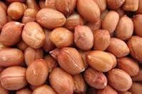 Algopix Similar Product 5 - Raw Red Skin Peanuts 5 Pounds Bulk