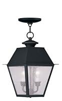 Algopix Similar Product 7 - Livex Lighting 216704 Mansfield