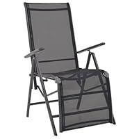 Algopix Similar Product 2 - Reclining Deck Chair Aluminum and