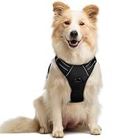 Algopix Similar Product 10 - rabbitgoo Dog Harness No Pull with 2
