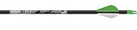 Algopix Similar Product 11 - Beman ICS Hunter Classic Arrows with