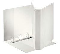 Algopix Similar Product 8 - Esselte 55293 Personalised A4 Maximum