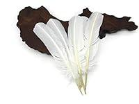 Algopix Similar Product 18 - Moonlight Feather  50 Pieces  Turkey