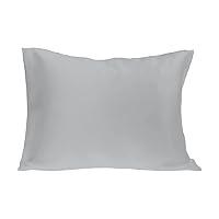 Algopix Similar Product 5 - Spasilk Pure Silk Pillowcase Charmeuse