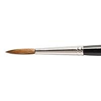 Algopix Similar Product 1 - Daler Rowney Diana Kolinsky Sable Brush