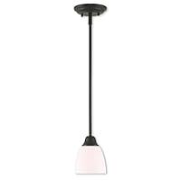 Algopix Similar Product 12 - Livex 5385007 Transitional One Light