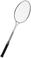 Algopix Similar Product 5 - Champion Sports Badminton Racket Blue