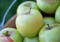 Algopix Similar Product 15 - Ginger Gold Apples Gift Box (14 Apples)