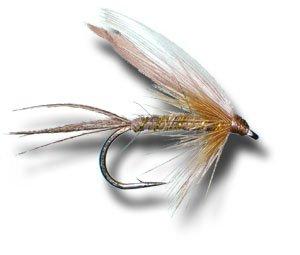 Best Deal for March Brown Wet Fly Fly Fishing Fly - Size 10 - 3