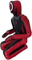 Algopix Similar Product 8 - CBC MMA BJJ Jiu Jitsu Grapple Dummy 20
