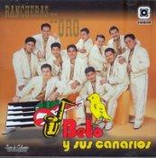 Algopix Similar Product 17 - Beto Y Sus Canarios Rancheras De Oro
