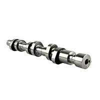 Algopix Similar Product 20 - DNJ CAM1105L Camshaft for