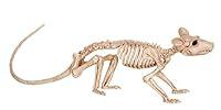Algopix Similar Product 15 - Crazy Bonez Skeleton - Rat Bonez
