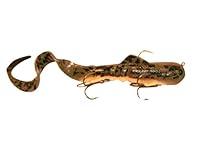 Algopix Similar Product 6 - Tackle Industries MSDC11 CamoD Musky