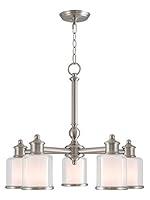 Algopix Similar Product 9 - Livex Lighting 4020491 Middlebush 5