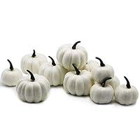 Algopix Similar Product 8 - YOFIT 12 Pcs Thanksgiving Table