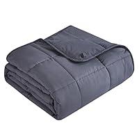 Algopix Similar Product 16 - Topcee Weighted Blanket 20lbs 60x80